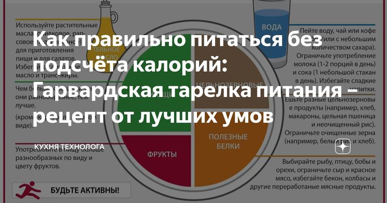 Как правильно питаться без подсчёта калорий: Гарвардская тарелка питания – рецепт от лучших умов